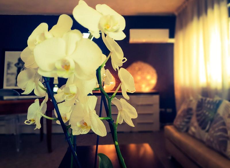 Hotel Caraibi 米兰马瑞提那 外观 照片